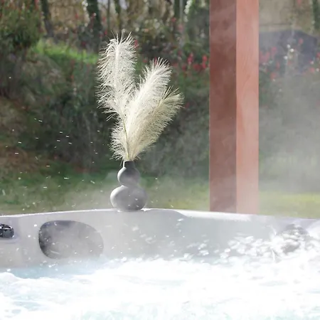 Appartement Sinalospa - Culiacàn - Jardin Jacuzzi Sauna à 5 Minutes De Nancy Place Stanislas Champigneulles