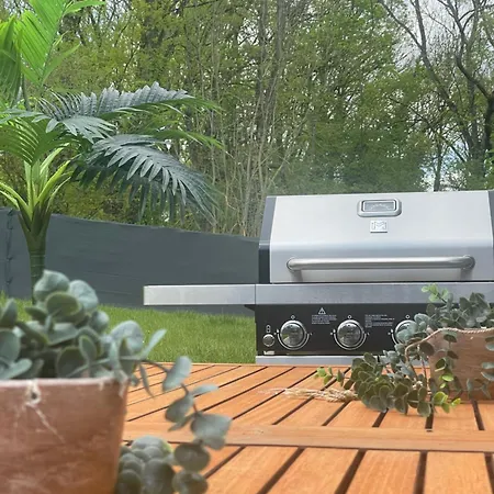 Sinalospa - Culiacan - Jardin Jacuzzi Sauna A 5 Minutes De Nancy Place Stanislas *